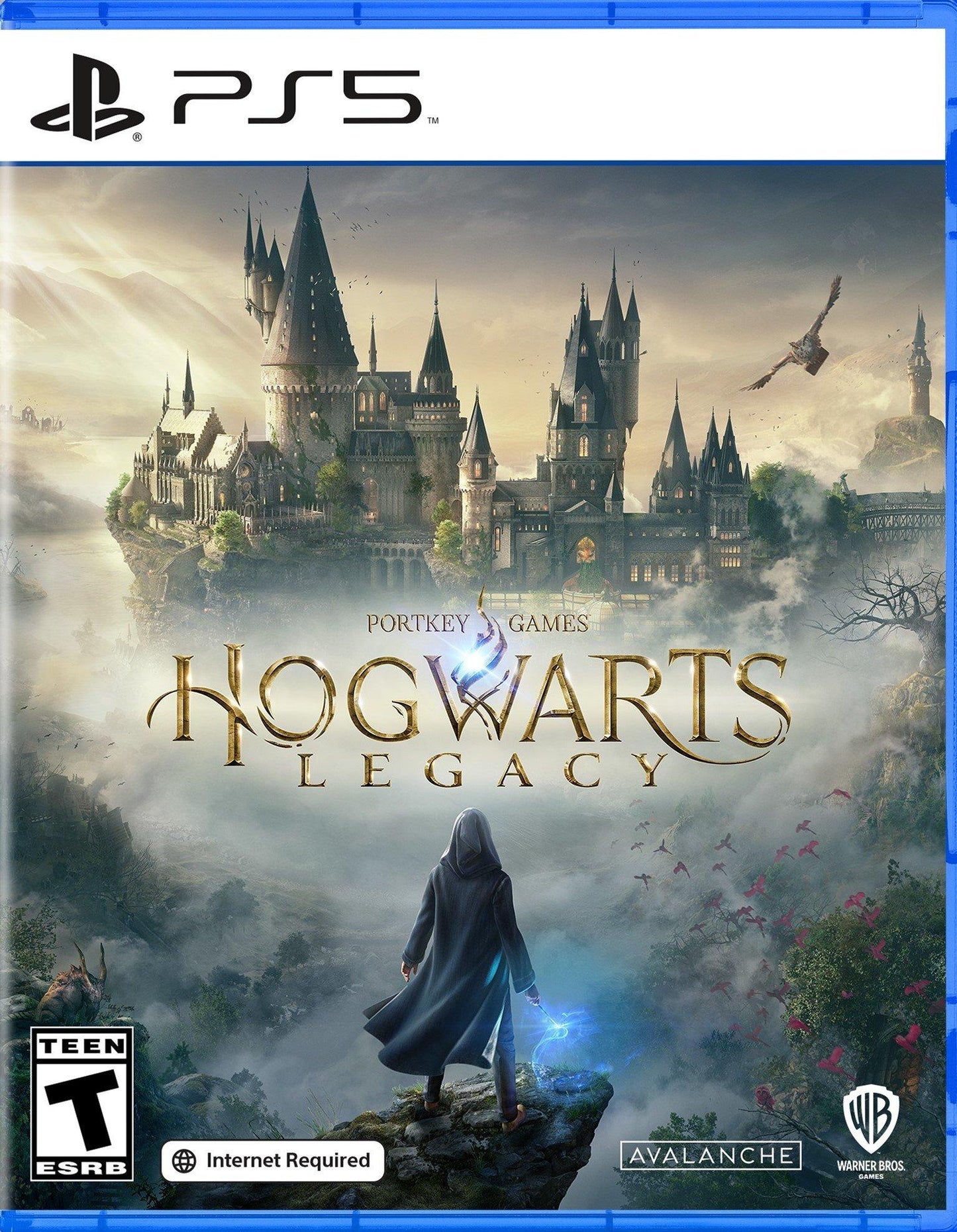 Hogwarts Legacy (Playstation5)